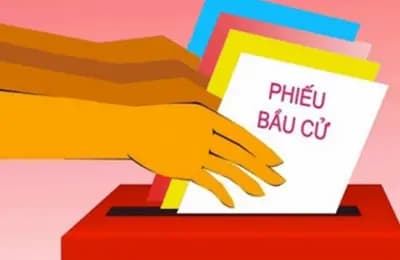 Nguyên tắc xác định người trúng cử