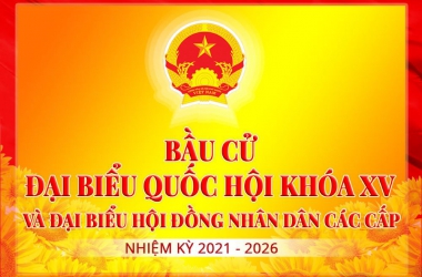 Các nguyên tắc cơ bản của bầu cử ở Việt Nam hiện nay