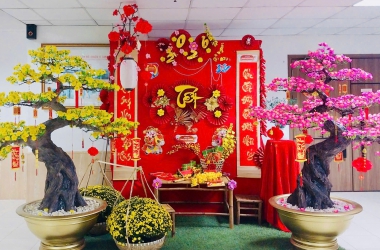 Sân Trường rực rỡ sắc xuân