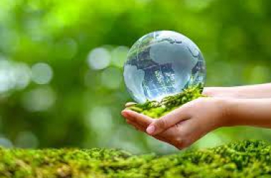 Nguyên tắc bảo vệ môi trường và chính sách của Nhà nước về bảo vệ môi trường