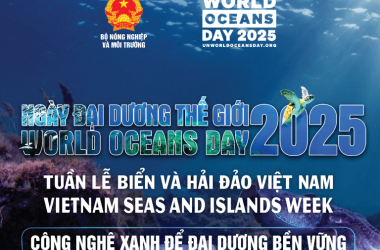 Hưởng ứng Tuần lễ Biển và Hải đảo Việt Nam và Ngày Đại dương thế giới (8/6) năm 2025