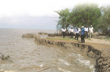 Tìm hiều về tác động của nước biển dâng đối với đồng bằng sông Cửu Long