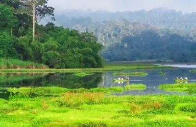 Hãy yêu quý, bảo vệ và phục hồi đất ngập nước