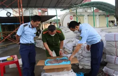Mở đợt cao điểm ngăn chặn, đẩy lùi buôn lậu, gian lận thương mại từ 15/5 đến 15/6/2025