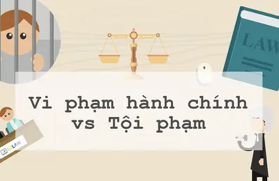 Phân biệt vi phạm hành chính và tội phạm
