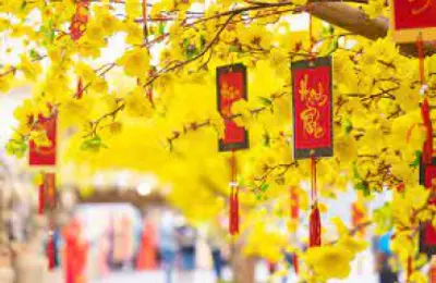 Xuân của mọi người, mọi nhà